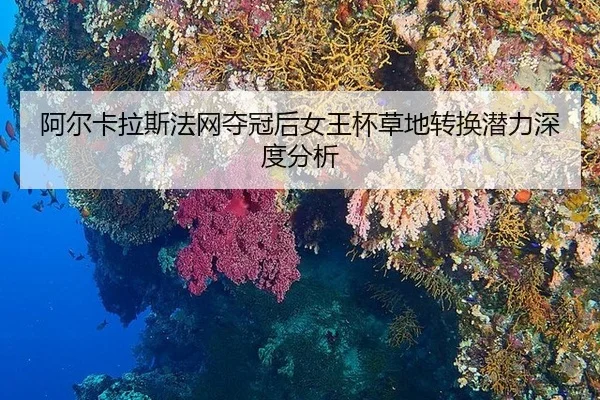 a-er-ka-la-si-fa-wang-duo-guan-hou-nv-wang-bei-cao-di-zhuan-huan-qian-li-shen-du-fen-xi-2-371.jpg
